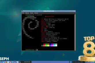 Top 8 Best Linux Server Distros With Gui