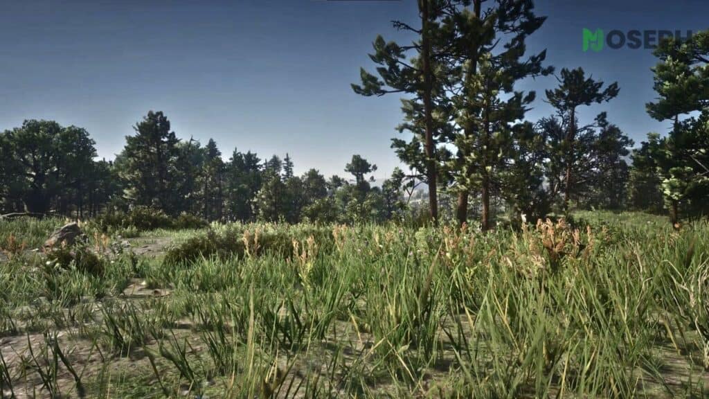 Best Red Dead Redemption 2 Graphics Mods