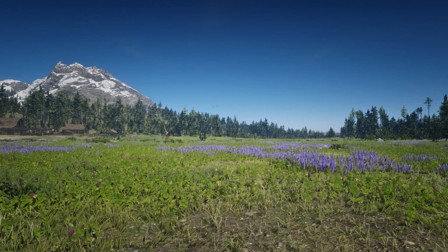 Best Reshade Presets For Red Dead Redemption 2