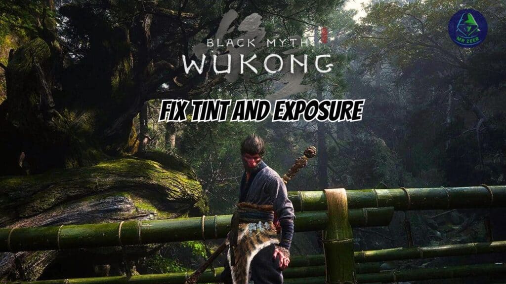 Black Myth Wukong Graphics Mods