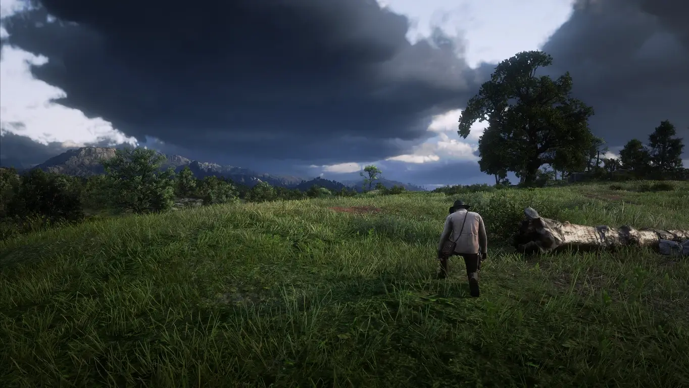 13 Best Reshade Presets For Red Dead Redemption 2 How To Add A Custom Copy Alert Script To Your Wordpress Site